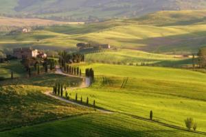 罗马客场不敌博洛尼亚，失去领先优势