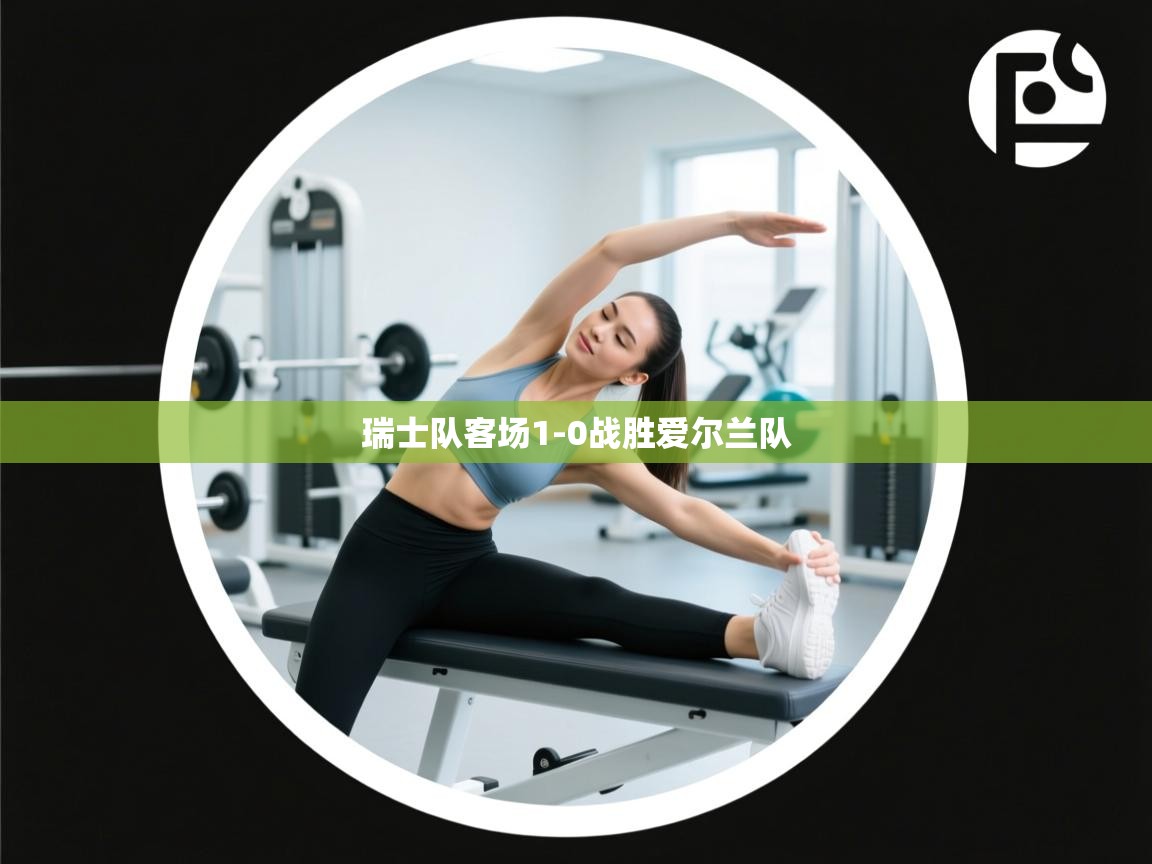 瑞士队客场1-0战胜爱尔兰队  第1张