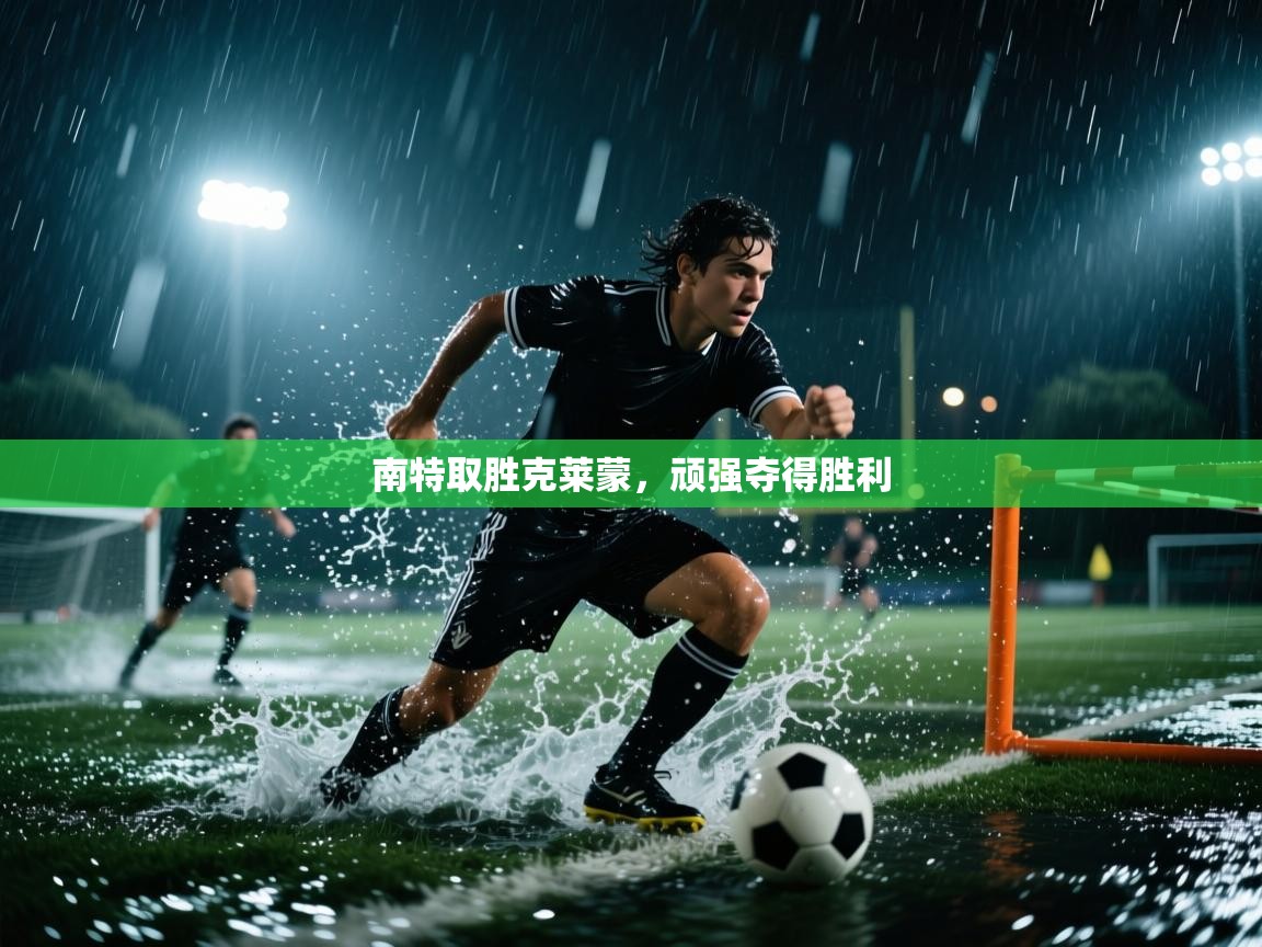 南特取胜克莱蒙，顽强夺得胜利  第2张