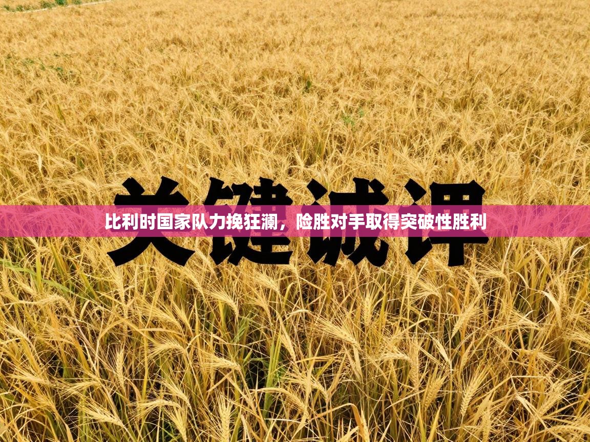 比利时国家队力挽狂澜，险胜对手取得突破性胜利  第2张