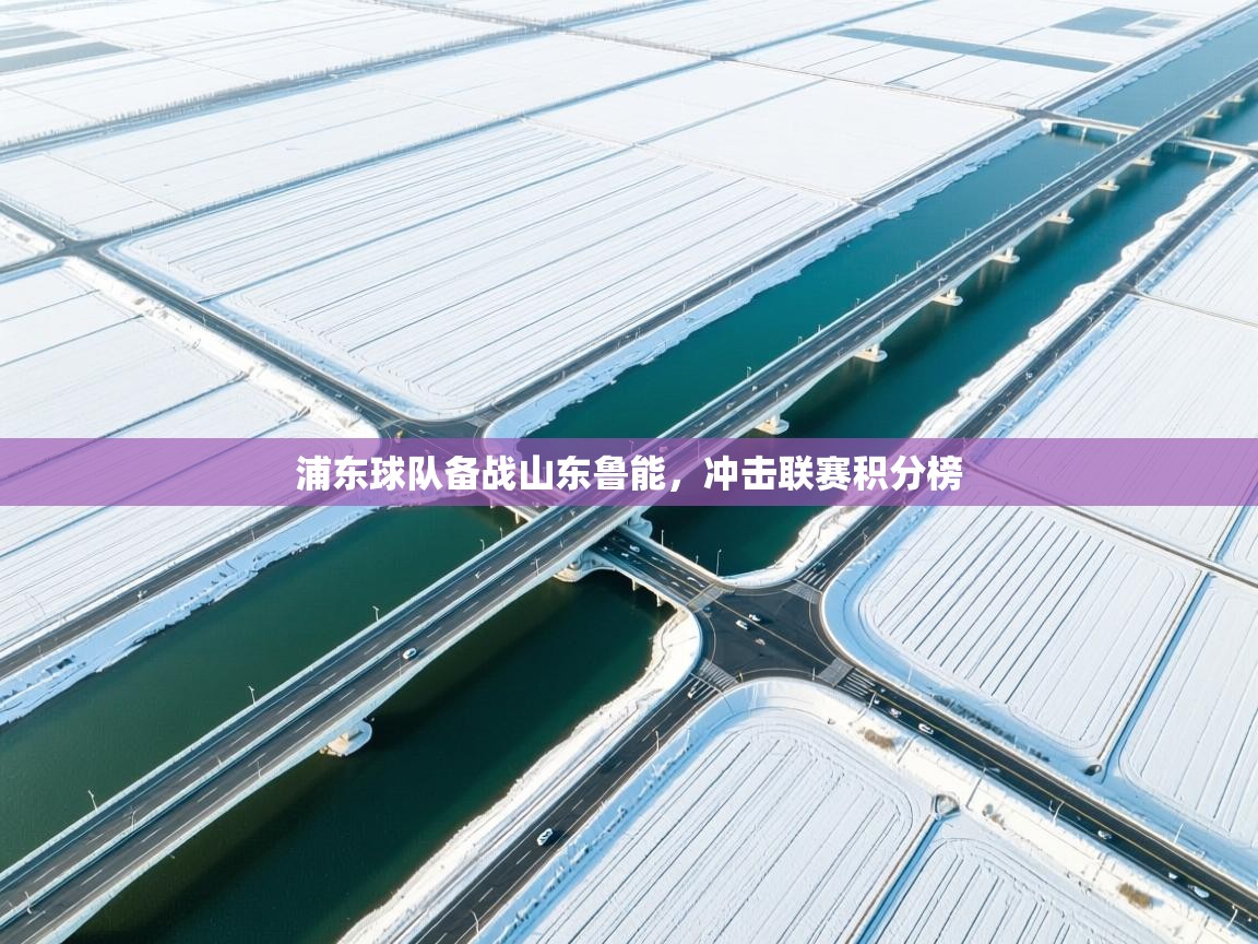 浦东球队备战山东鲁能，冲击联赛积分榜  第2张